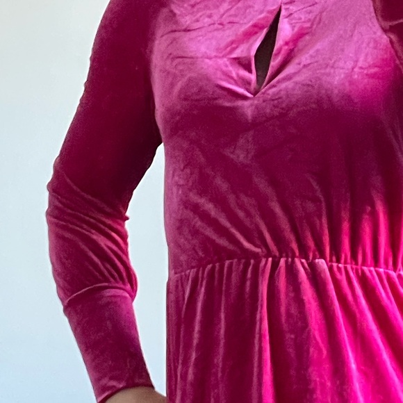 Beautiful Velour Midi Dress - Picture 9 of 15